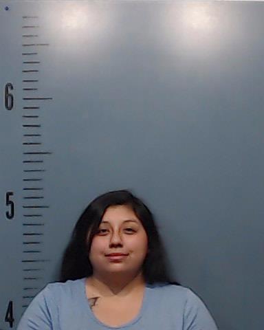 Sanchez, Jasmine Ivette booking photo