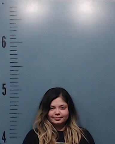 Stokes, Diamantina Danielle booking photo
