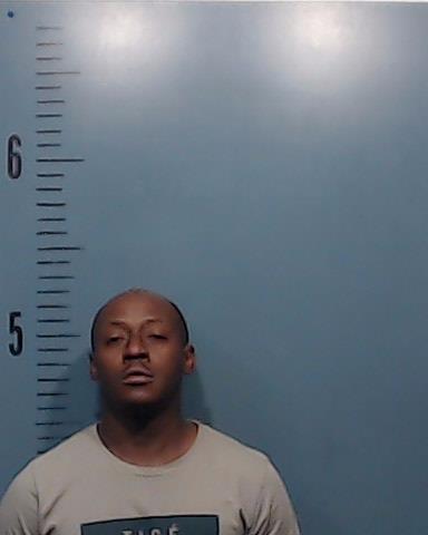 Body, William Xavier T Biya booking photo