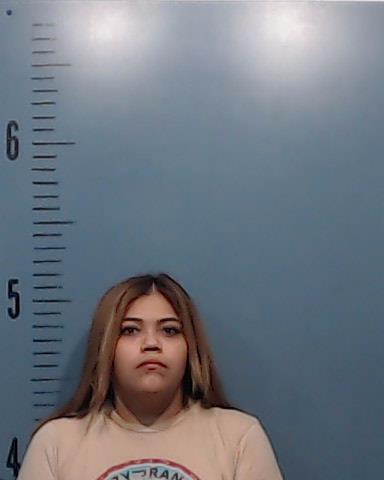 Gomez, Katherine Nicole booking photo