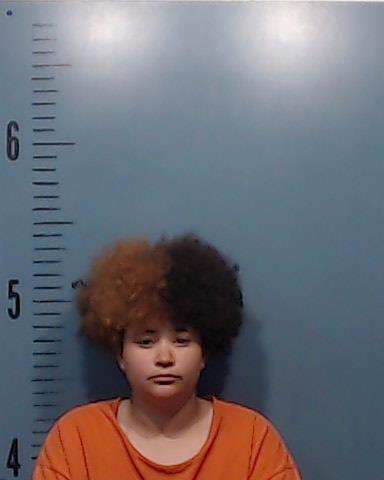 Penns, Falicity Dashay booking photo