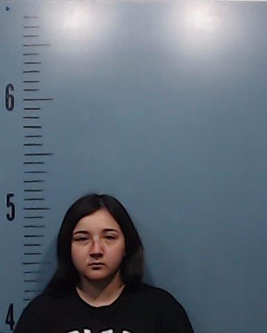 Sotelo, Angie Jolene booking photo