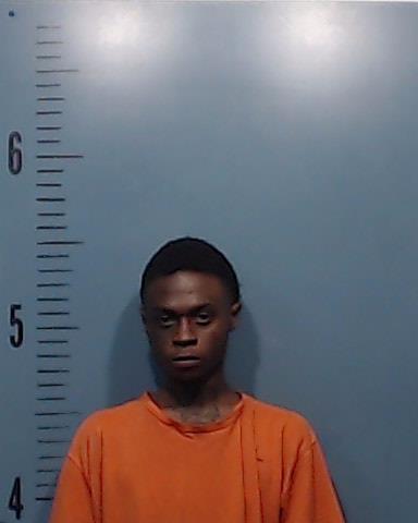 Primer, Montarus arrested by Taylor County SO/PD