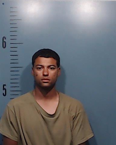 Light, Terry Lavone Harris booking photo