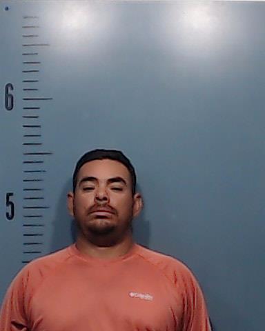 Salmeron-Altamirano, Ronald Selvin booking photo