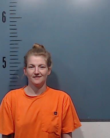 Hill, Carrie Samielle arrested by Taylor County SO/PD
