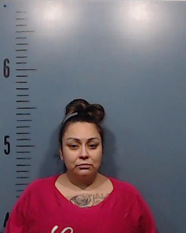 Gauna, Elaine Marie booking photo