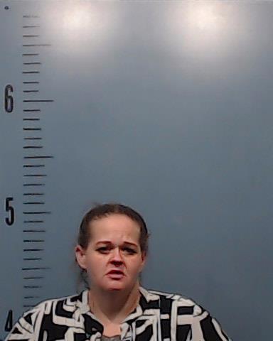 Hillis-Brown, Mary Elizabeth arrested by Taylor County SO/PD