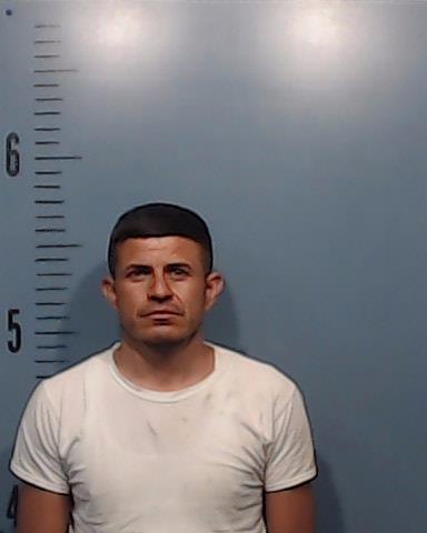 Arellano-Gutierrez, Jose Manuel booking photo