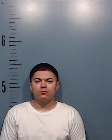 Treider, Nikolas Rey booking photo