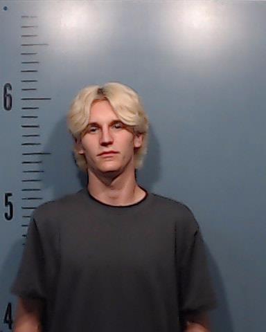 Anderson, Brandon Cole arrested by Taylor County SO/PD