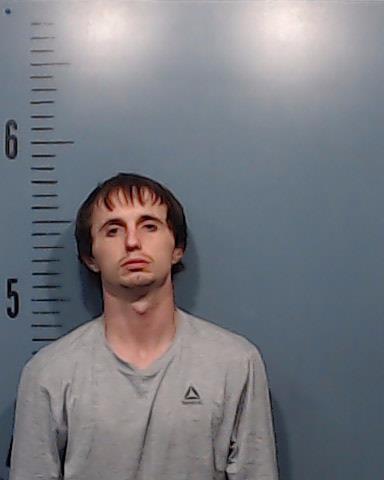 Wilkins, Matthew Lynn booking photo