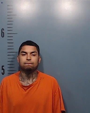Castillo, Jonathon Thomas arrested by Taylor County SO/PD