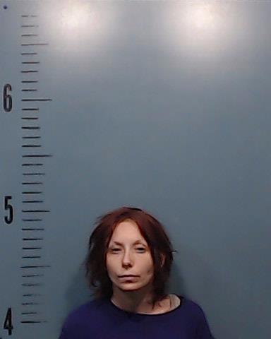Sarlo, Andrea Lynn booking photo