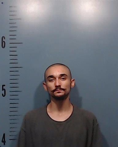 Hernandez, Martin Isaiah arrested by Taylor County SO/PD