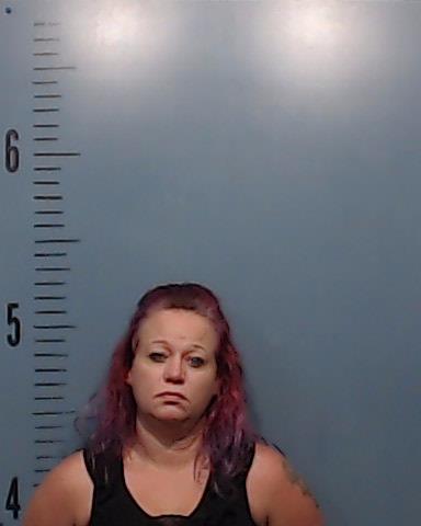 Burfield, Tracy Nicole booking photo