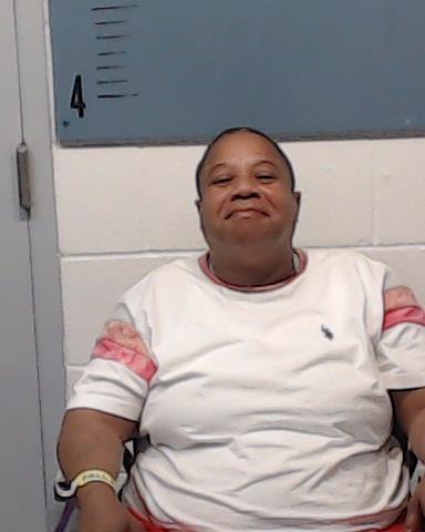 Warren, Amy Renee arrested by Taylor County SO/PD