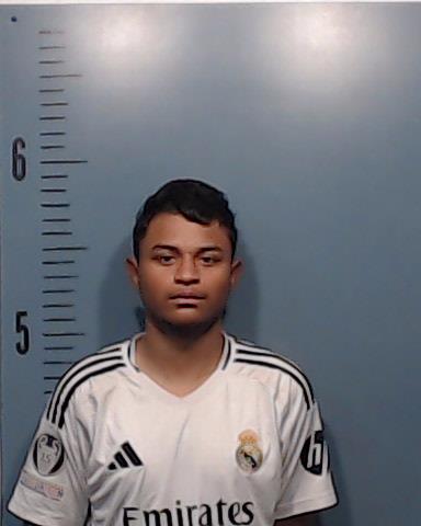 Nunez-Cano, Ivan Alberto booking photo
