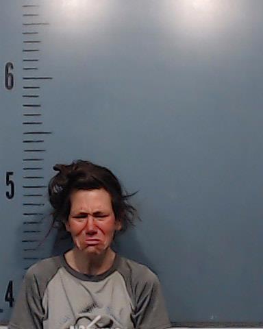 Bailey, Jami Renea booking photo