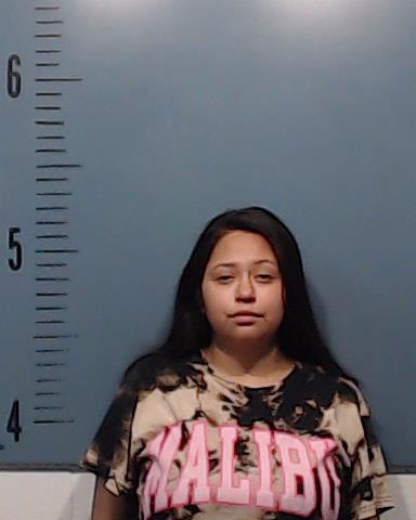 Gonzalez, Cielo Estrella booking photo