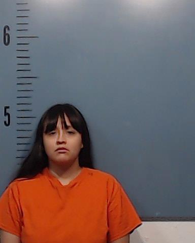 Diaz, Madelyn Sandoval booking photo