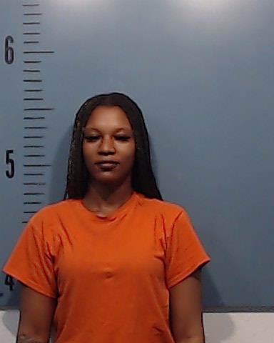 Payne, Teonnda Denise arrested by Taylor County SO/PD