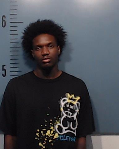Collier, Darnell Randolph, Jr. booking photo
