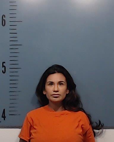Castro, Linda Aracely booking photo