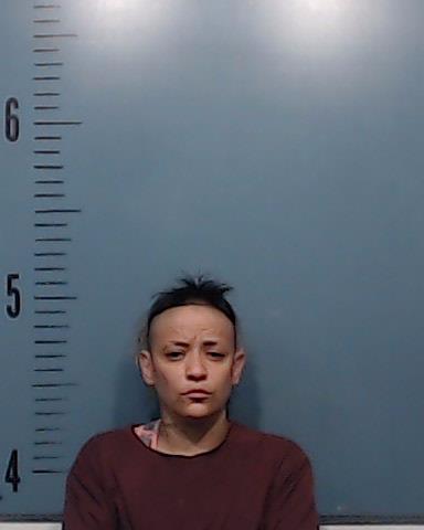Vazquez, Erika Ann booking photo