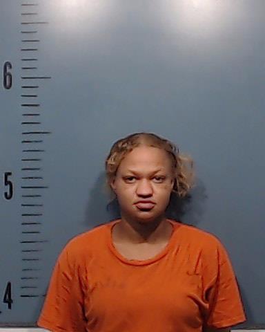 Cherry, Brianna Michelle booking photo