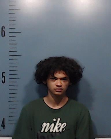 Gale, Martavius Jerome booking photo