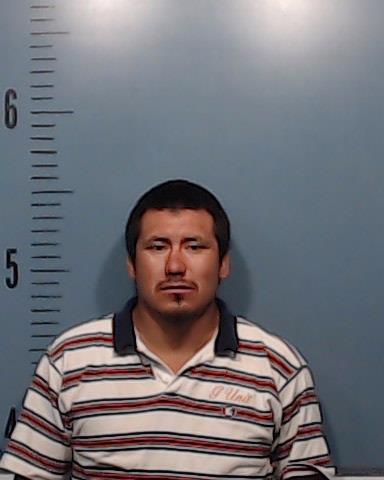 Apolinar-Morales, Elias booking photo