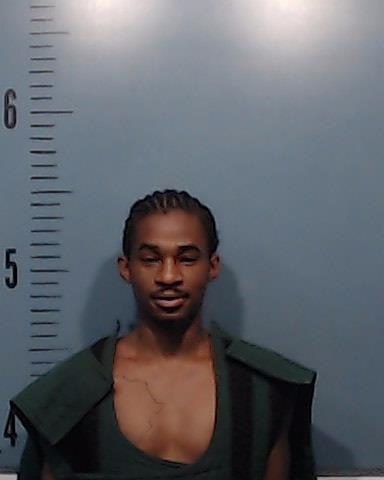 Zahoui, Djedje Yvann Yliasse booking photo