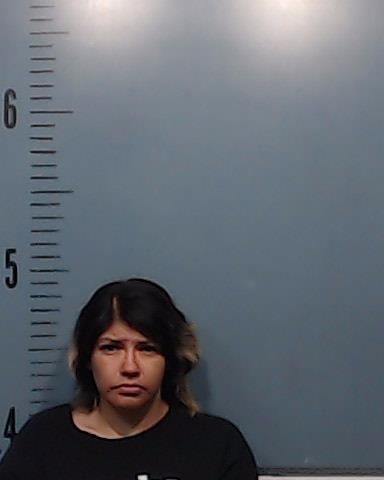 Marquez-Ramirez, Brittany Marie booking photo