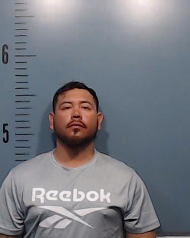 Candia Castillo, Jordy Daniel booking photo