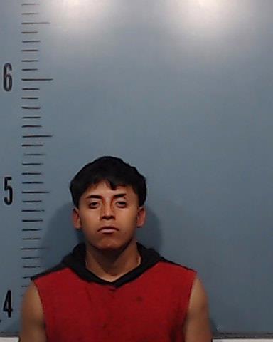 Torres-Perez, Ariel Porfirio booking photo