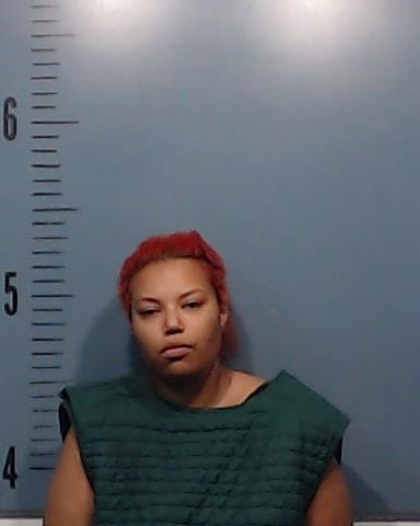 Sherman, Nichole Elizabeth booking photo