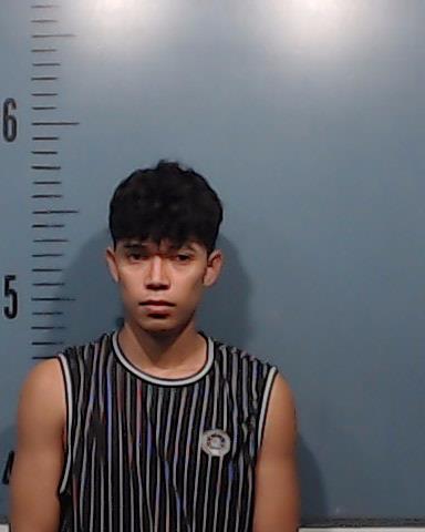 Lopez-Salgado, Gerson Eduardo booking photo