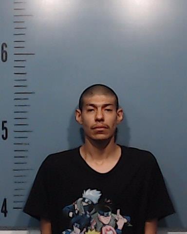 Alsides, Cruz Manuel Antonio booking photo