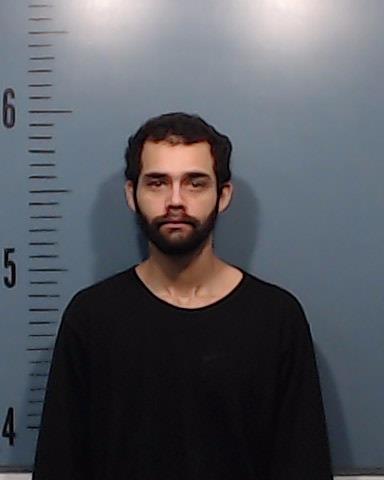 Andrews, England Carlton, V booking photo