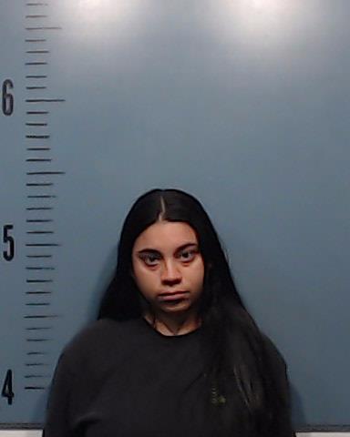 Arroyo, Brianna Liz booking photo