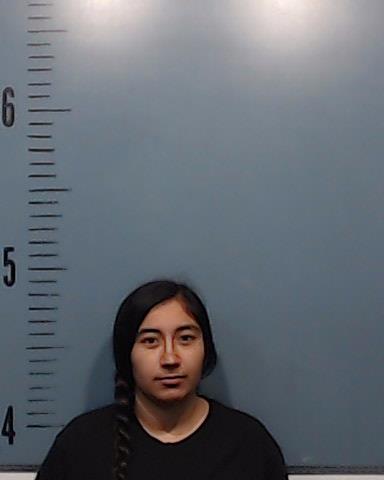 Gutierrez, Sky Michelle booking photo