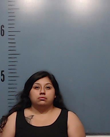 Sanchez, Jasmine Ivette booking photo