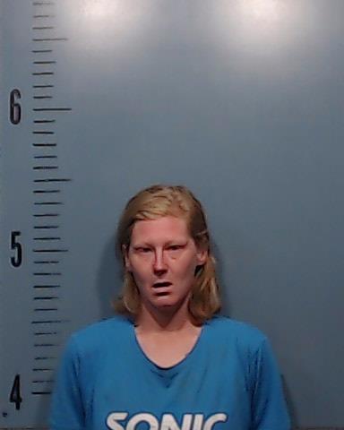 Ponder, Lindsey Michelle booking photo