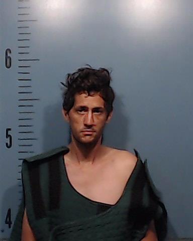 Stegman, Harvey Lynn arrested by Taylor County SO/PD