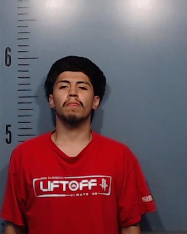 Trevino, Andrew Alfredo booking photo