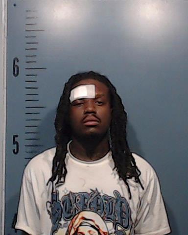 Williams, Christopher Crain booking photo