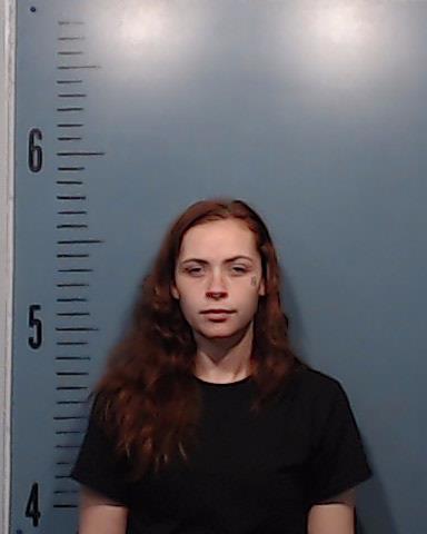 Dickson, Fabrianna Diane booking photo