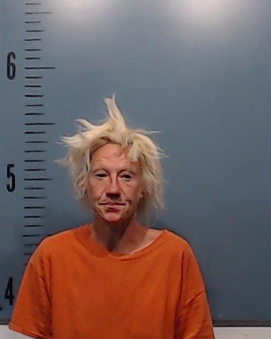 Denison, Jessica Lynn booking photo