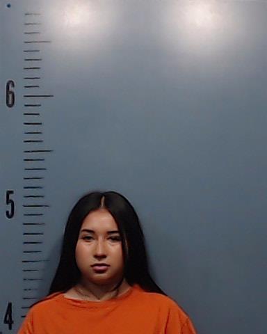 Sotelo, Cristina Ileanah booking photo